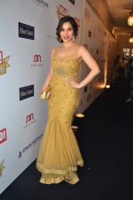 Sophie Chaudhary at red carpet of Hello Hall of Fame Awards in Mumbai on 27th Dec 2012 (50).JPG